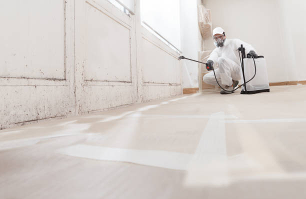 24/7 Emergency Mold Inspection experts in Denton, TX