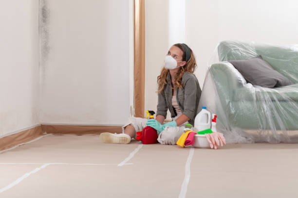 Reliable Mold Cleanup contractor in Denton, TX by Cheap Mold Removal